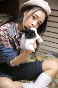 电视剧铁梨花
